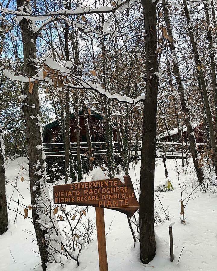 Chalet Etna Milo Εξωτερικό φωτογραφία