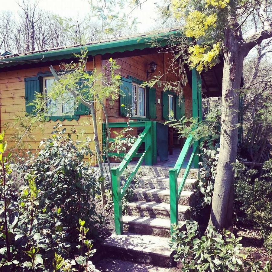 Chalet Etna Milo Εξωτερικό φωτογραφία