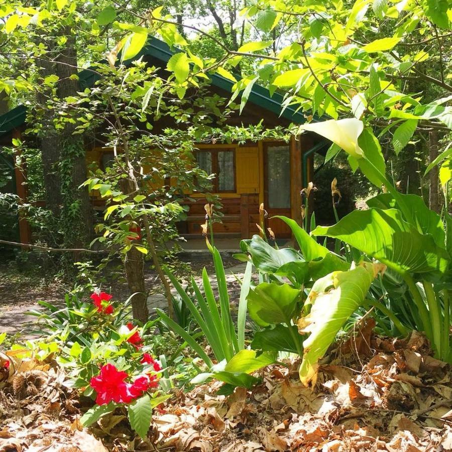 Chalet Etna Milo Εξωτερικό φωτογραφία